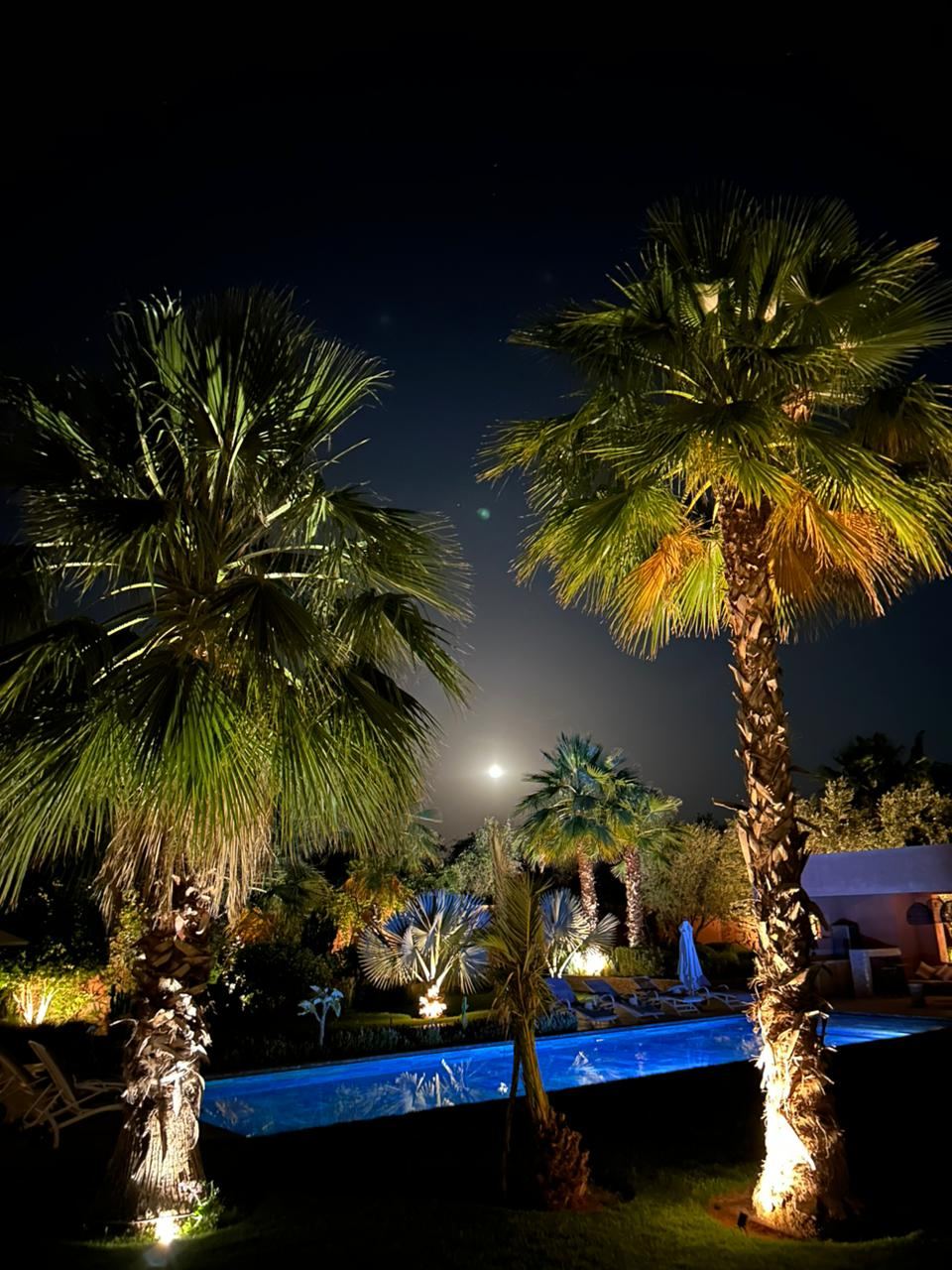 Palmiers éclairés et piscine sous la lune